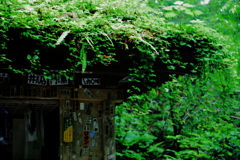 草葺き屋根