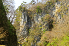 名勝の春