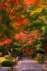 円通院の紅葉