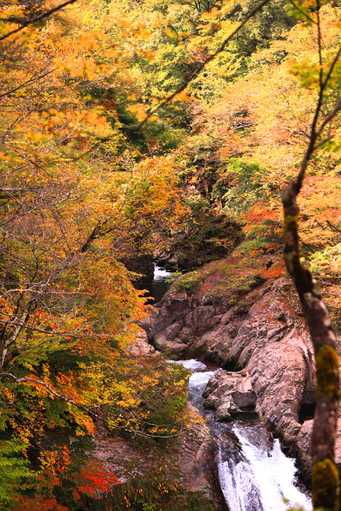 Autumn colors