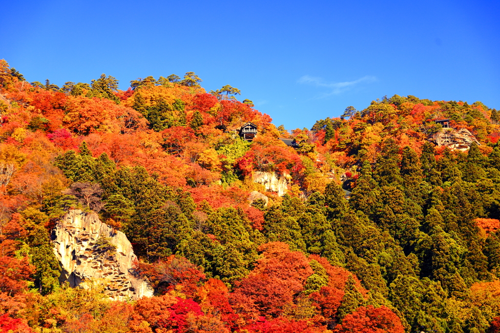 小春日和の山寺