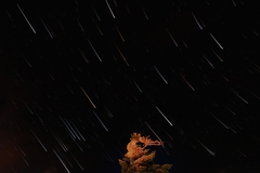 星降る夜