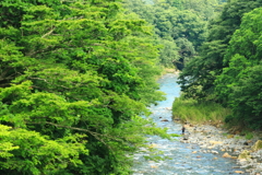 渓流釣り