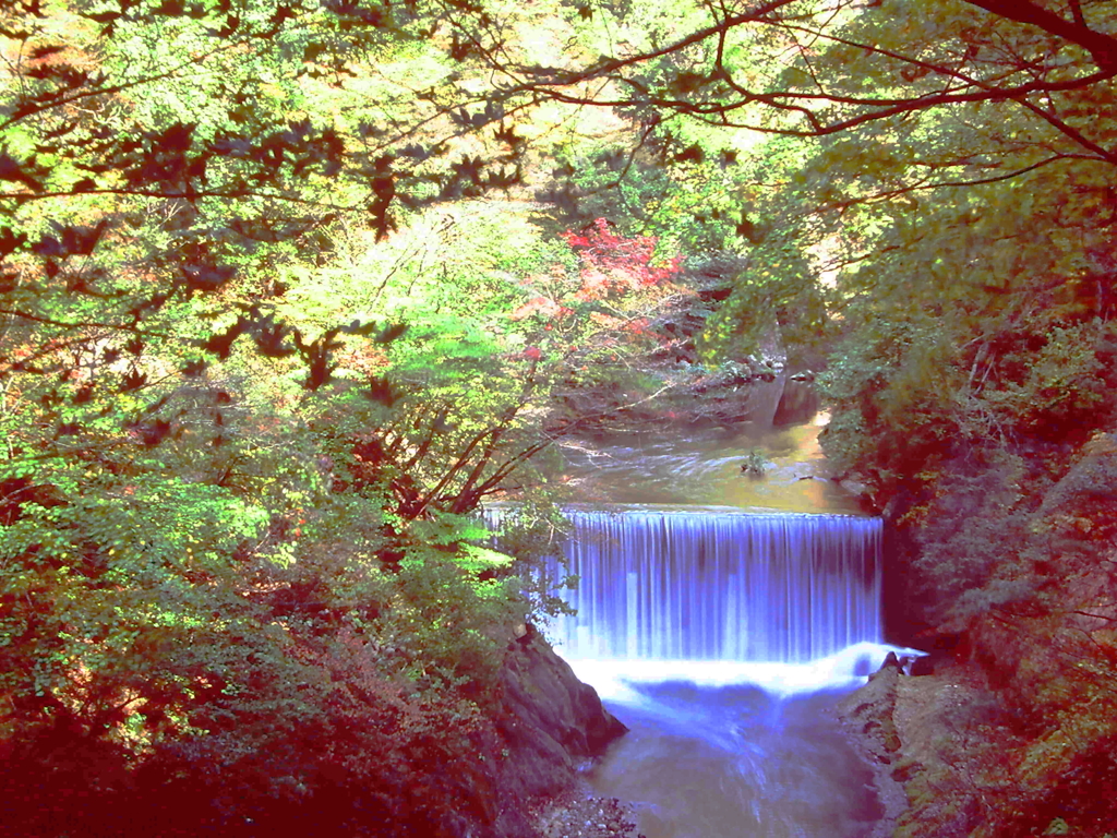 堰堤の紅葉