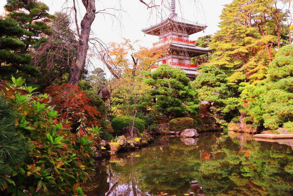 輪王寺庭園