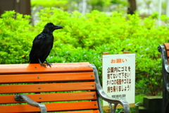 西公園のキョエちゃん