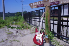 渚のギター