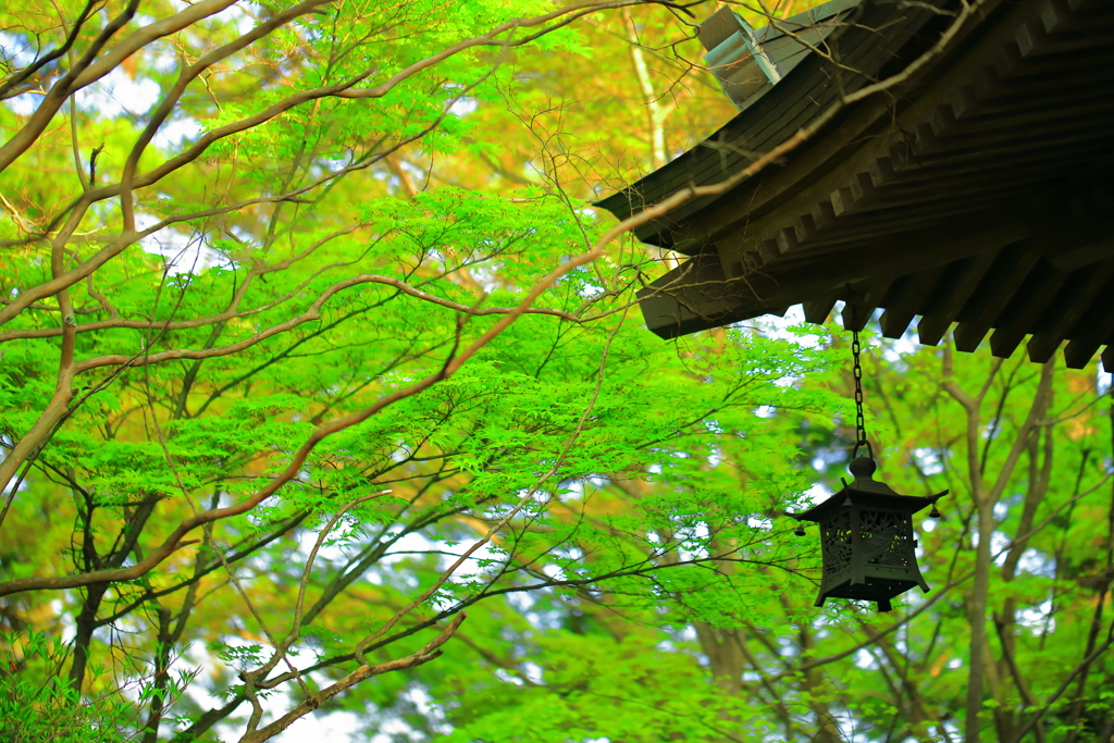 資福寺