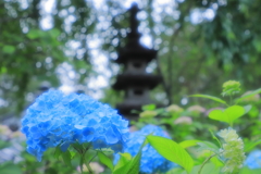 資福寺の庭園