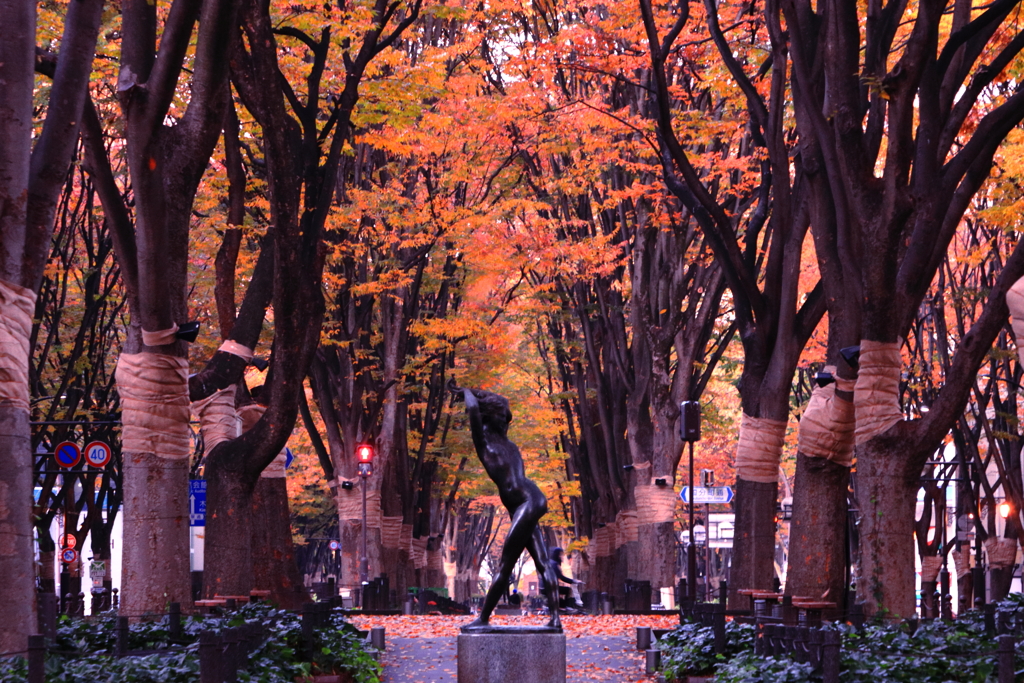 晩秋の定禅寺通り