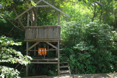 秘密基地