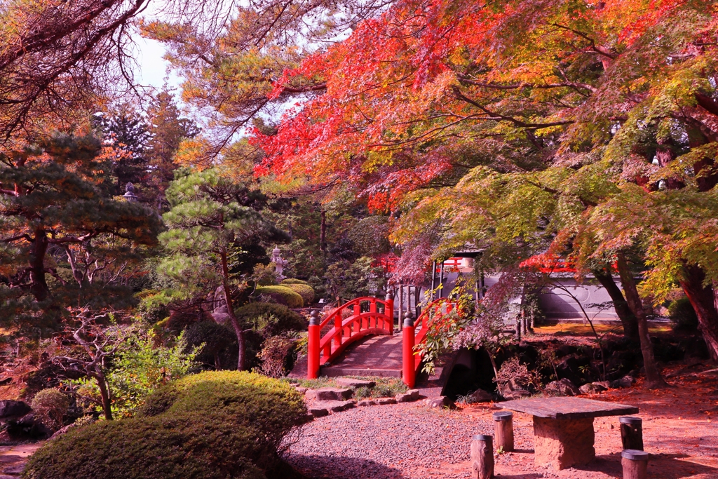 紅葉真っ盛り！！