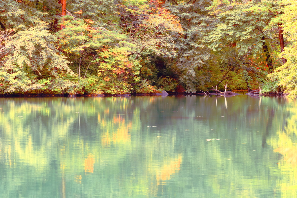 神秘的な湖水