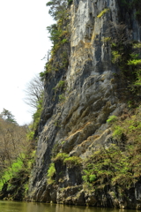 芽吹く巌