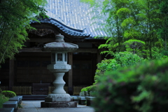 深緑の資福寺本堂