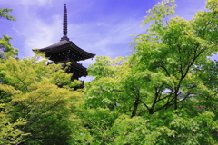 定義如来五重塔