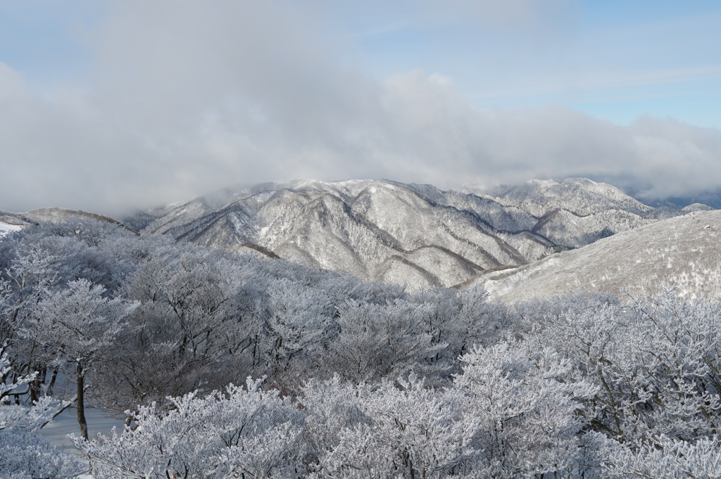 御在所岳の樹氷-03