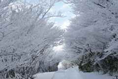 御在所岳の樹氷-01