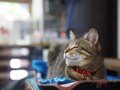 今日はどんな一日かな
