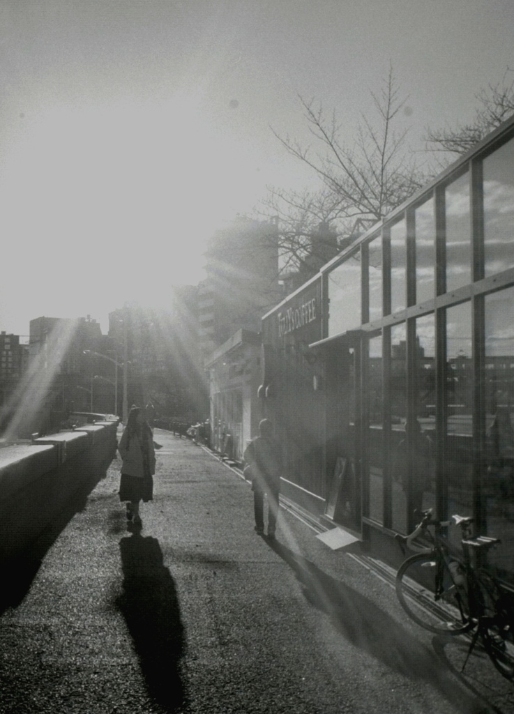 逆光