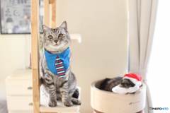 クリスマス