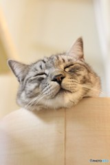 ちょっとピンボケ
