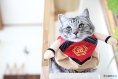 金太郎