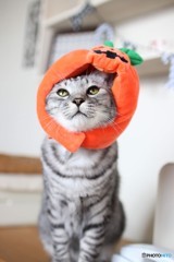 ハロウィン