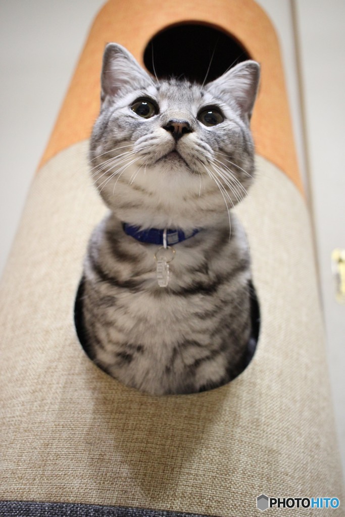 飛び出す寸前