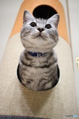 飛び出す寸前