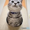 飛び出す寸前