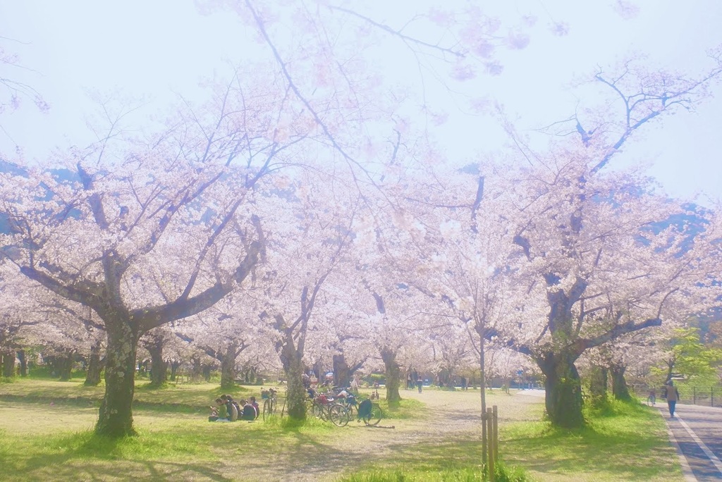 嵐山へのウォーキング