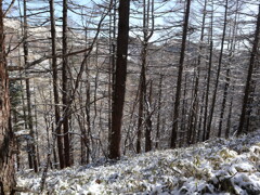 大菩薩嶺　登山道