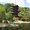 山口県　瑠璃光寺五重塔