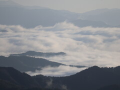 大判山山頂の雲海