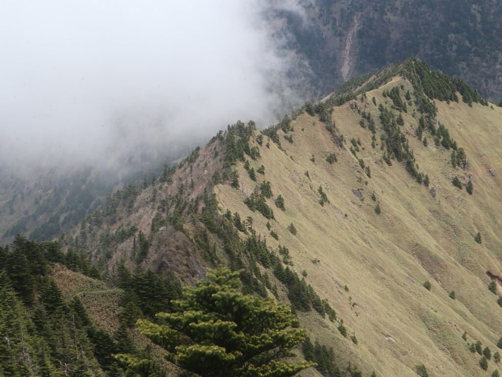 二の森から石鎚山への尾根