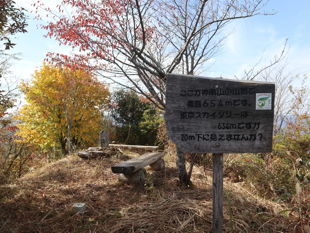 山頂の紅葉　神南山