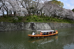 駿府城春景色