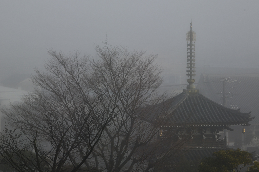 朝もやの中で