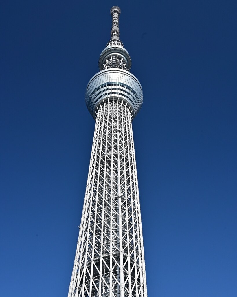 何も引かない、何も足さない