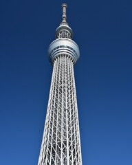 何も引かない、何も足さない