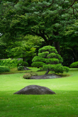 日本庭園の美