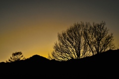 夕暮れ