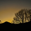 夕暮れ
