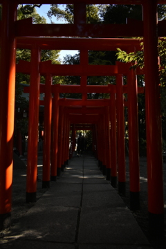 神社