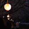 夜祭