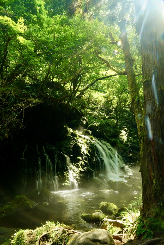 鳥海山元滝