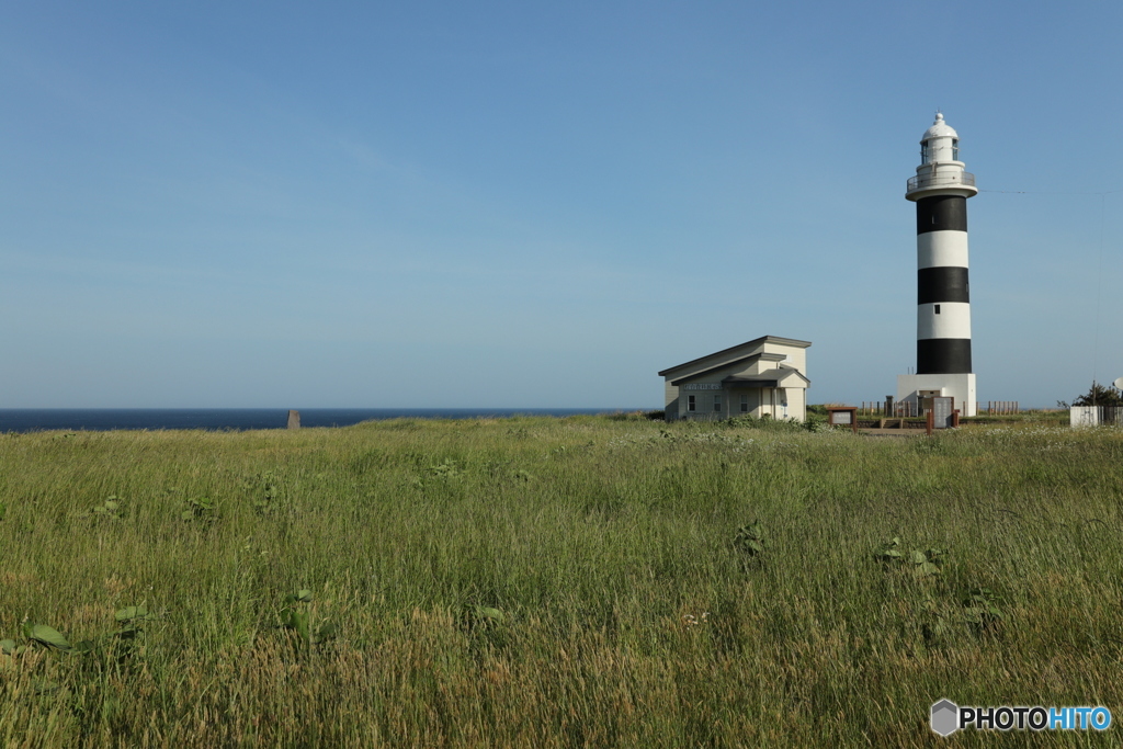 男鹿半島の草原