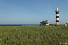 男鹿半島の草原