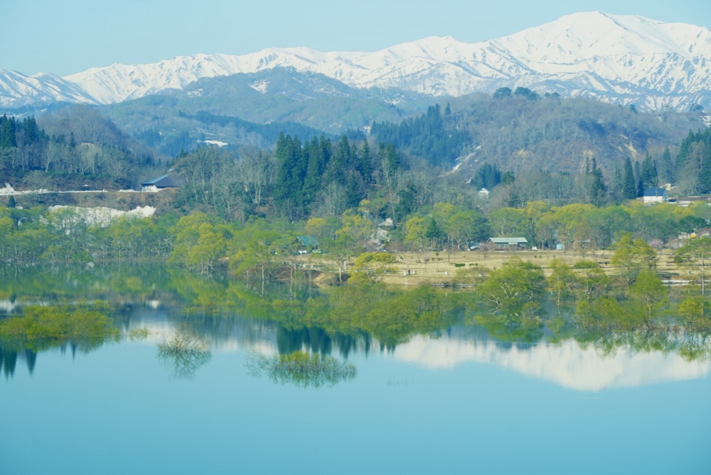 里山の春